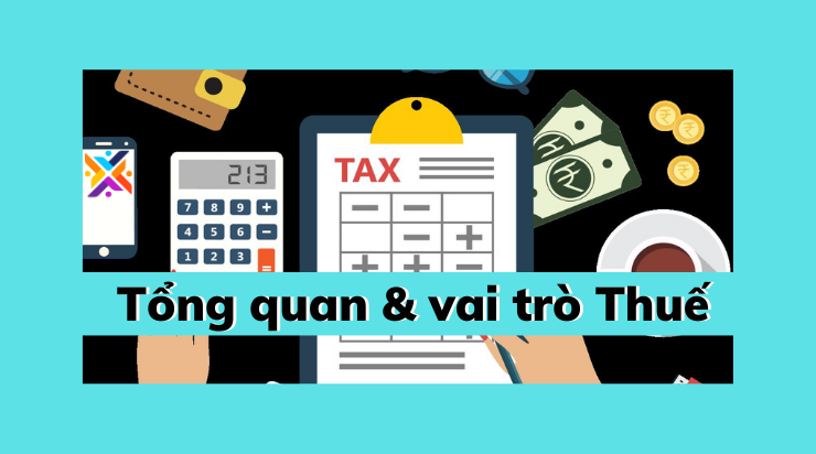 tổng quan và vai trò của thuế trong kinh tế